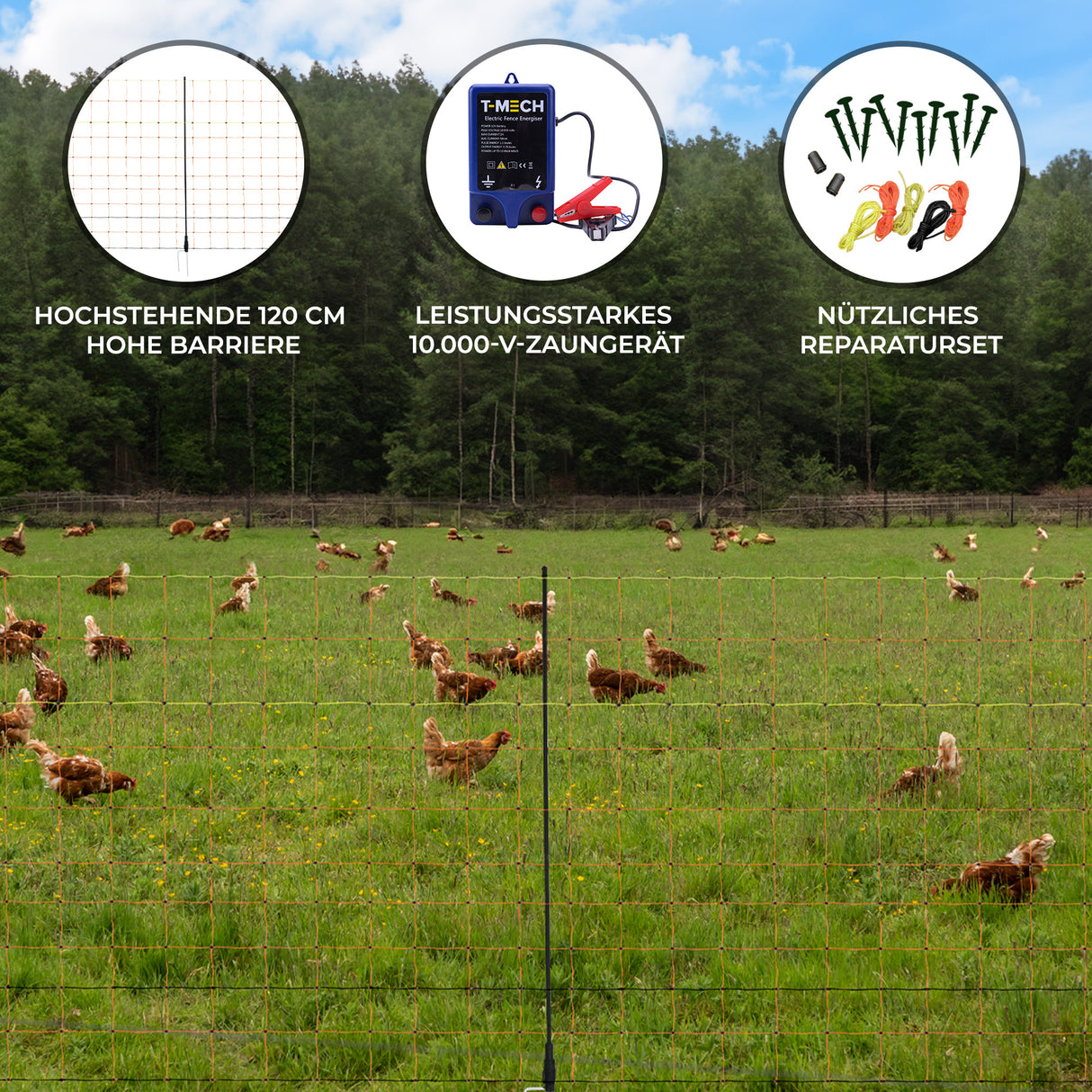 Elektrisches Geflügelnetz und Elektrozaungerät