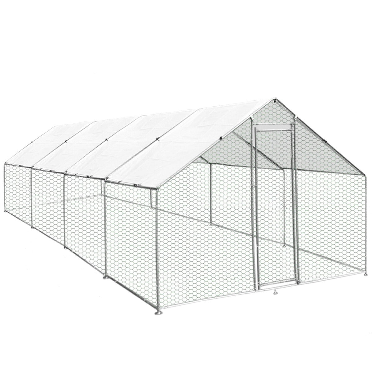 Hühner Freilauf 3m x 8m x 2m