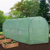 Polytunnel 19mm 5m x 2m mit Regale