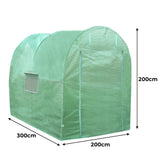 Polytunnel 19mm 3m x 2m mit Regale