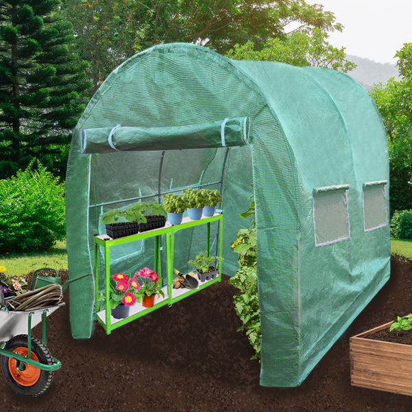 Polytunnel 25mm 3m x 2m mit Regale