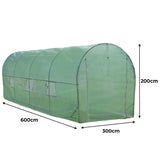 Polytunnel 25mm 6m x 3m mit Regale